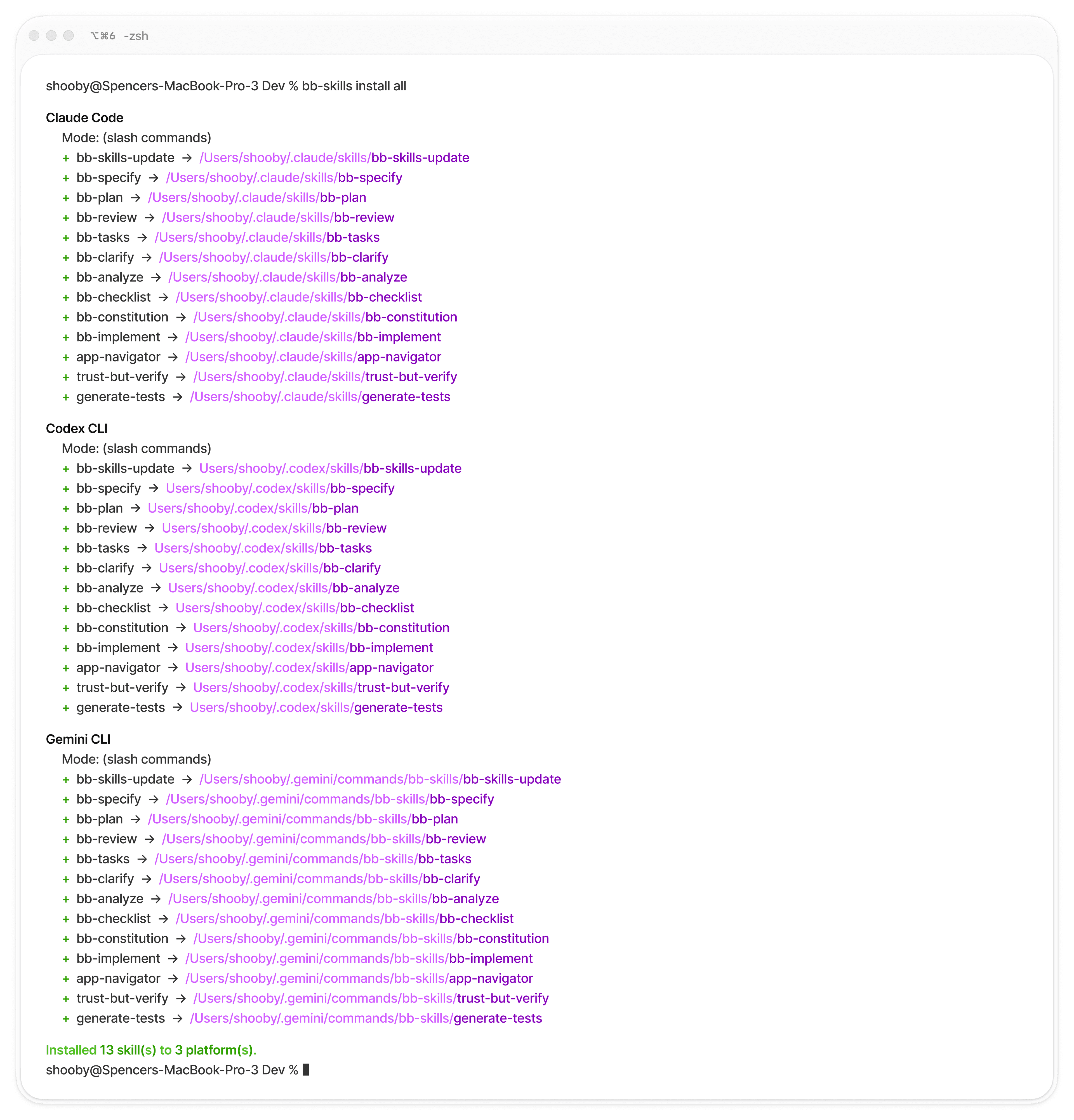 BB-Skills install output in terminal